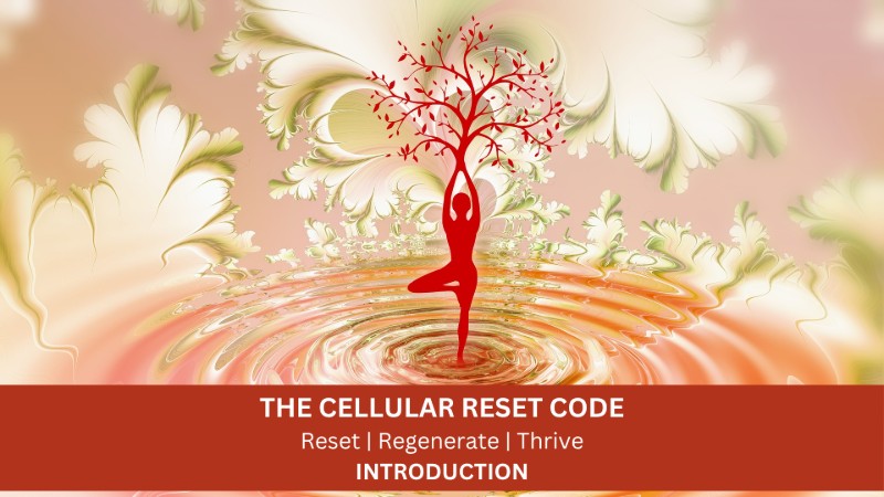 next intro September 25th